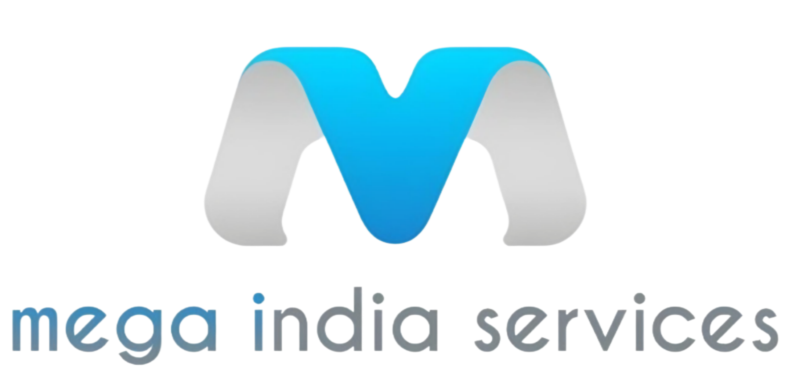 Mega India Services Logo